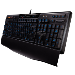 Logitech Gaming Keyboard G110